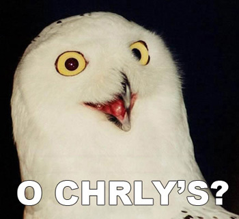 O'Charley's O RLY? Owl